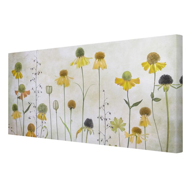 Print on canvas - Delicate Helenium Flowers