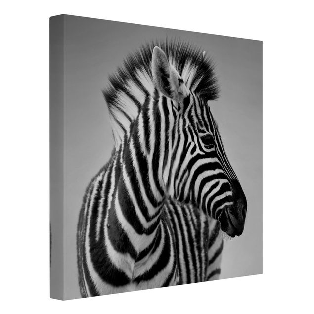 Print on canvas - Zebra Baby Portrait II