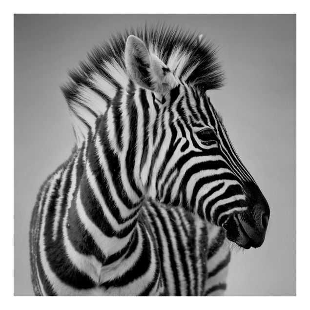 Print on canvas - Zebra Baby Portrait II