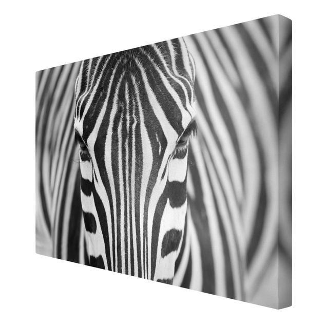Print on canvas - Zebra Look