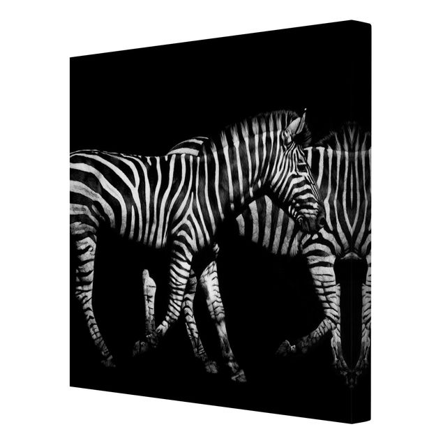 Print on canvas - Zebra In The Dark