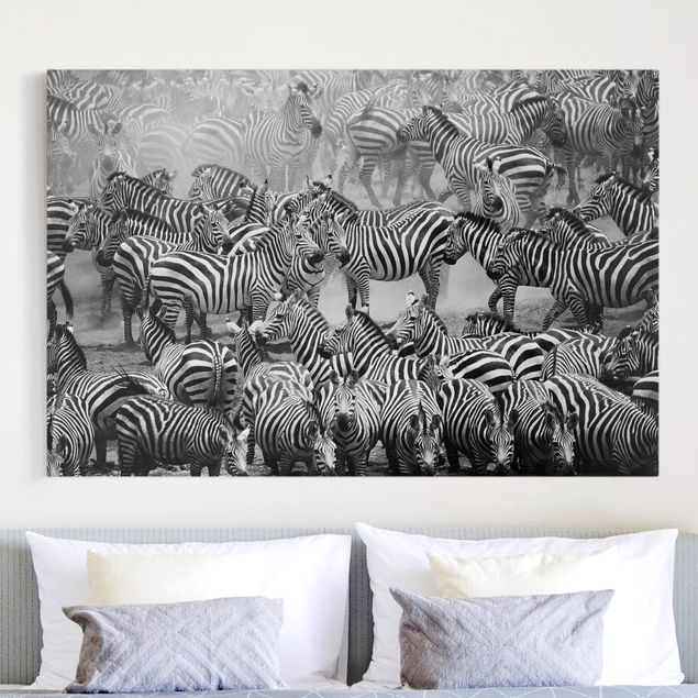 Print on canvas - Zebra herd II