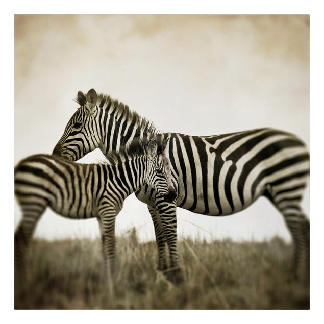 Print on canvas - Zebra Couple