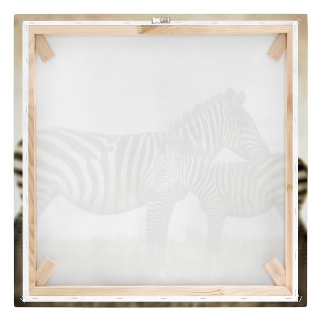 Print on canvas - Zebra Couple