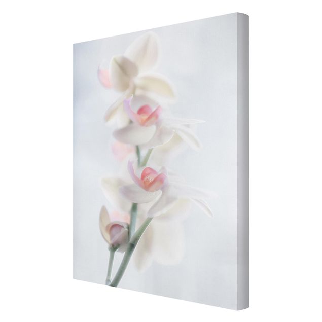 Print on canvas - Delicate Orchid