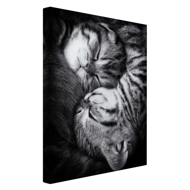 Print on canvas - Two Kittens