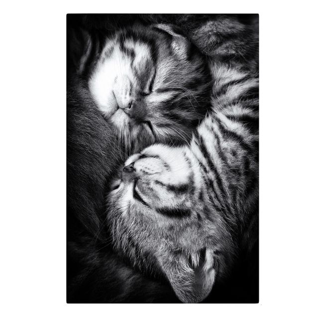 Print on canvas - Two Kittens