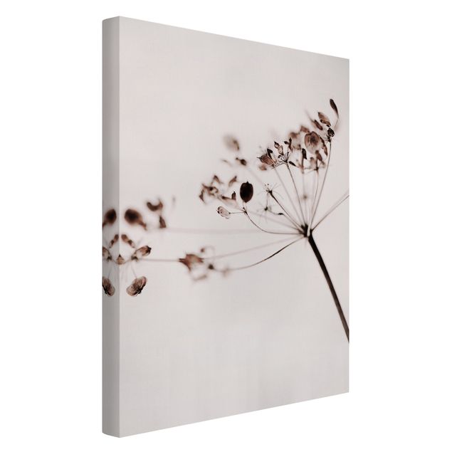 Canvas print - Macro Image Dried Flowers In Shadow