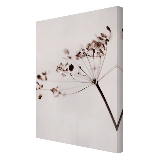 Canvas print - Macro Image Dried Flowers In Shadow