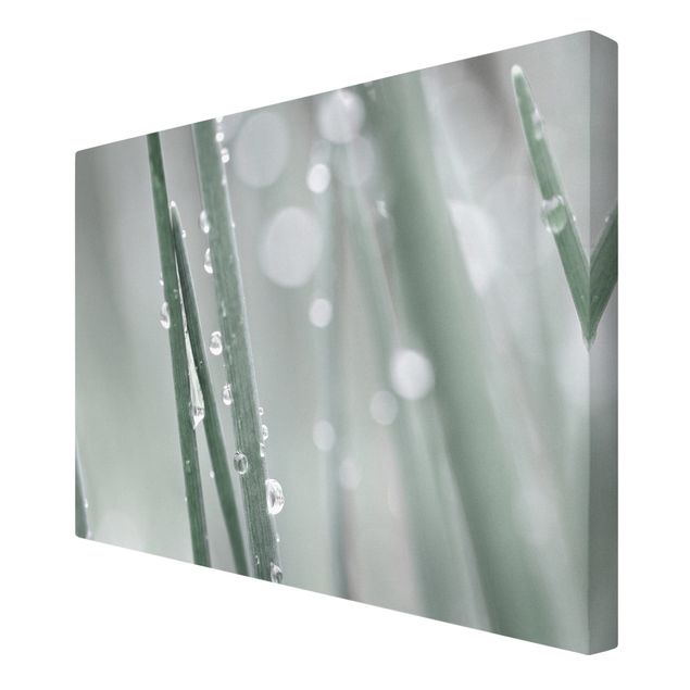 Canvas print - Macro Image Beads Of Water On Grass
