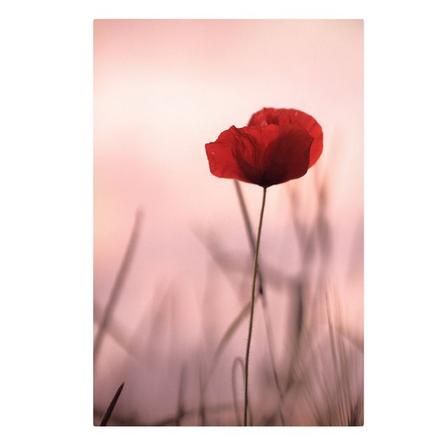 Canvas print - Poppy Flower In Twilight