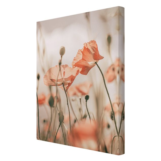 Canvas print - Poppy Flowers In Summer Breeze