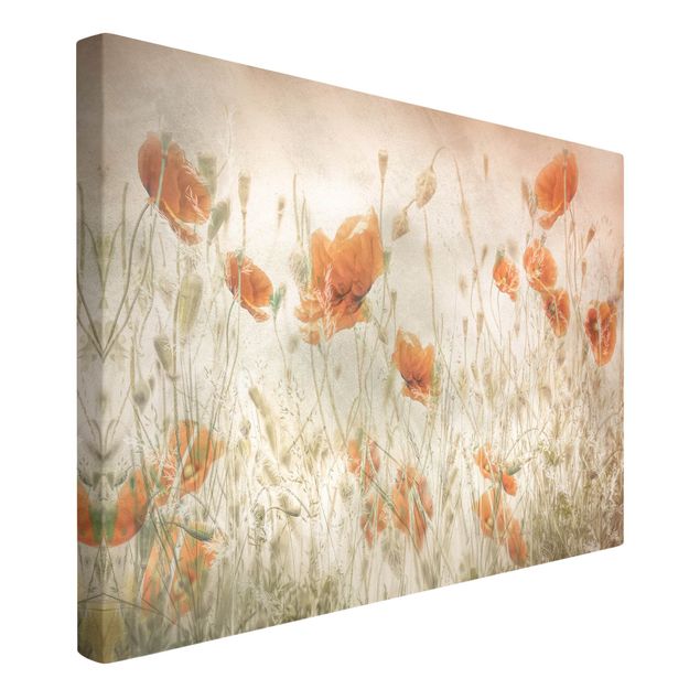 Canvas print - Poppy Flowers And Grasses In A Field