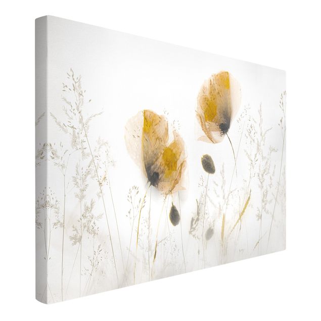 Canvas print - Poppy Flowers And Delicate Grasses In Soft Fog