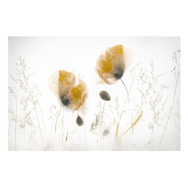 Canvas print - Poppy Flowers And Delicate Grasses In Soft Fog