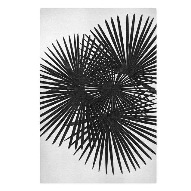 Canvas print - Palm Leaves In Black And White