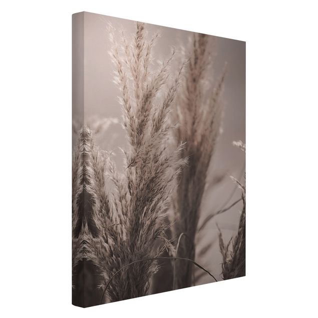Canvas print - Pampas Grass In Late Fall