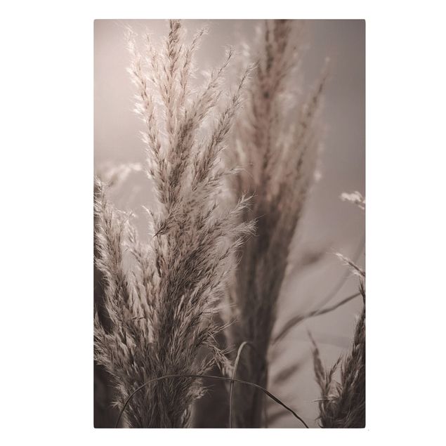 Canvas print - Pampas Grass In Late Fall