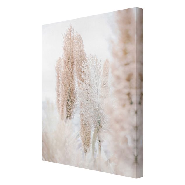 Canvas print - Pampas Grass In White Light