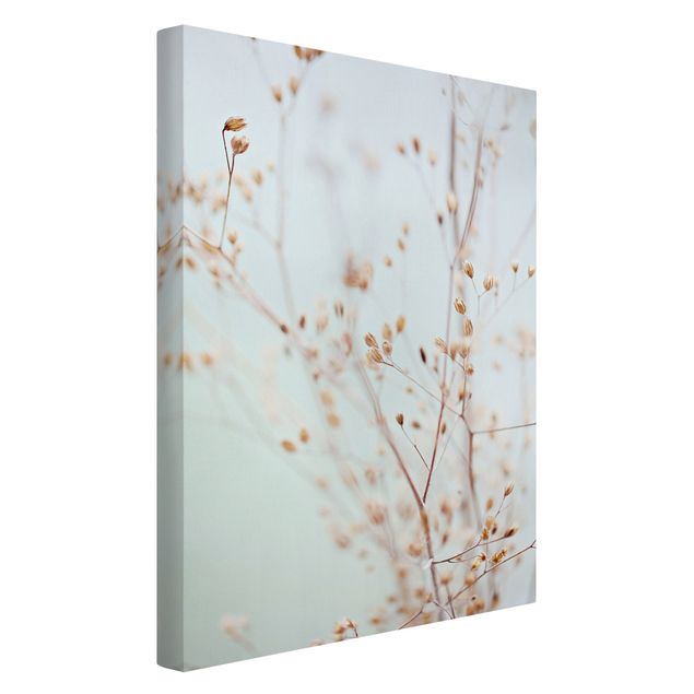 Canvas print - Pastel Buds On Wild Flower Twig