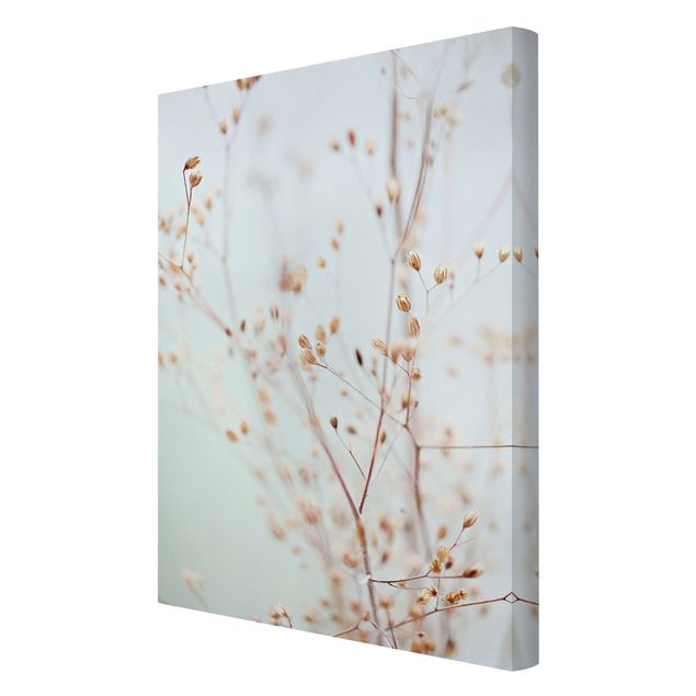 Canvas print - Pastel Buds On Wild Flower Twig