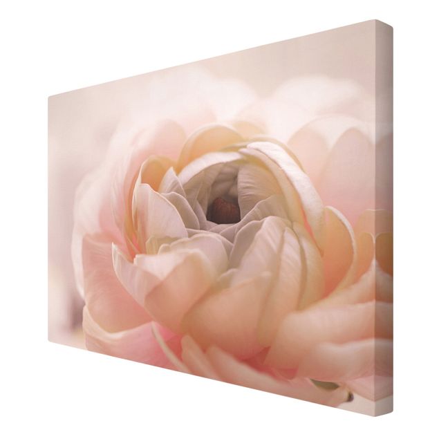 Canvas print - Focus On Light Pink Flower