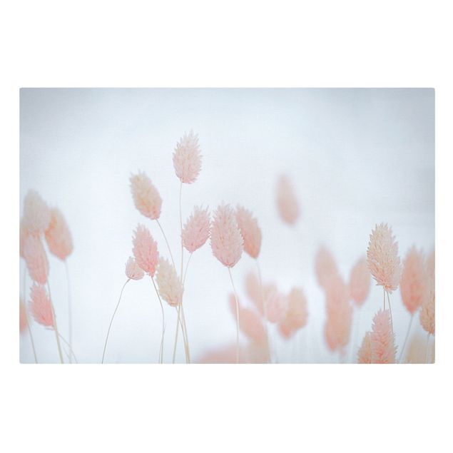 Canvas print - Grass Tips In Pale Pink