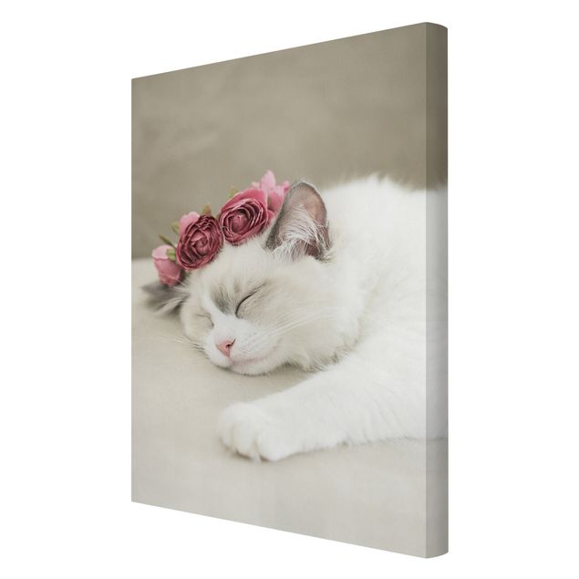 Canvas print - Sleeping Cat with Roses