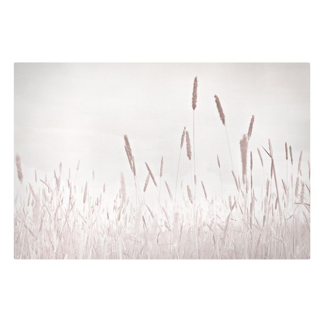Canvas print - Summerly Reed Grass