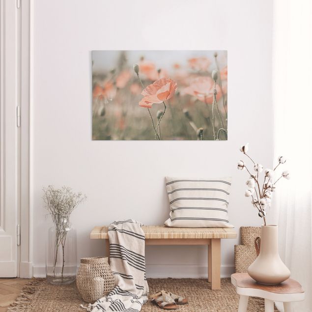 Canvas print - Sun-Kissed Poppy Fields