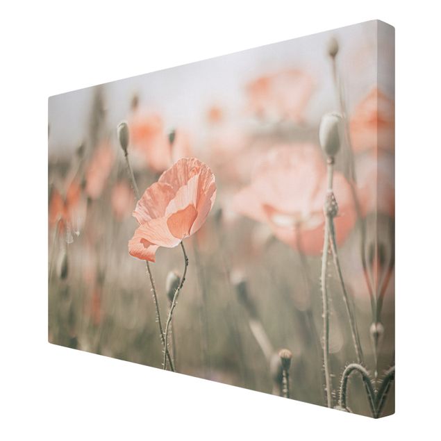 Canvas print - Sun-Kissed Poppy Fields
