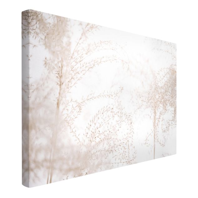 Canvas print - Sunrays In Pampas Grass