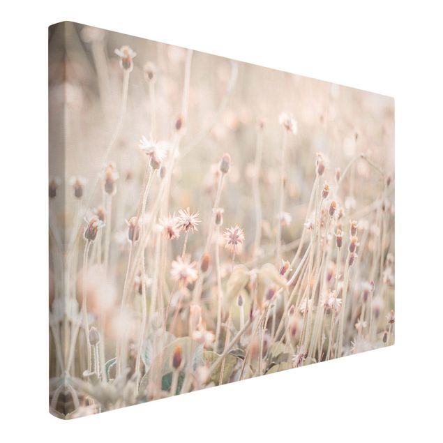 Canvas print - Flowering Meadow In the Sun