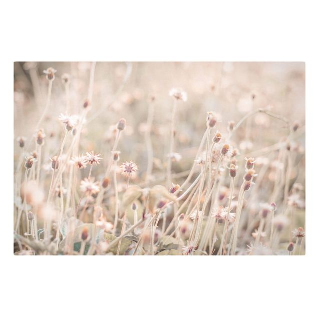 Canvas print - Flowering Meadow In the Sun