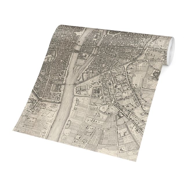 Walpaper - Vintage Map Paris