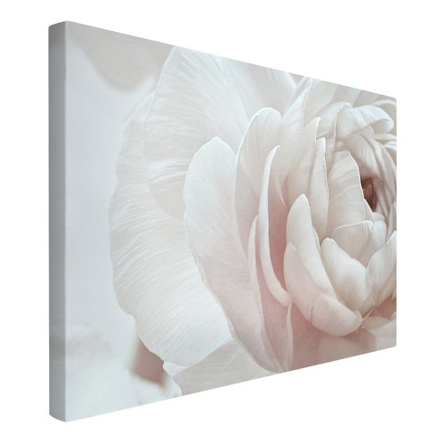 Canvas print - White Flower In An Ocean Of Flowers