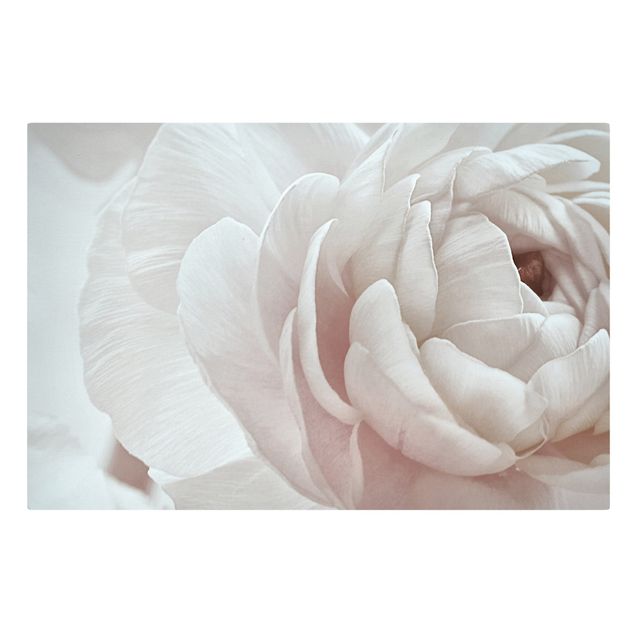 Canvas print - White Flower In An Ocean Of Flowers