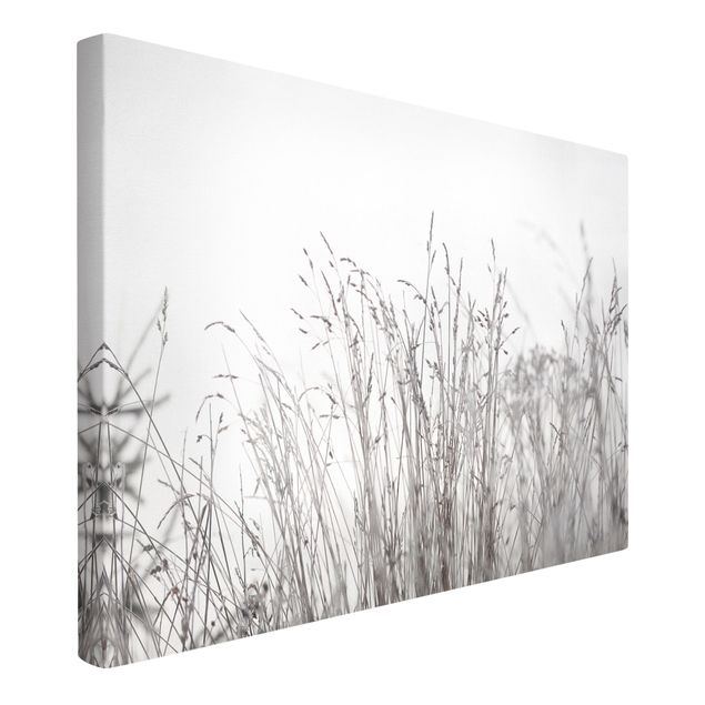 Canvas print - Winter Grasses