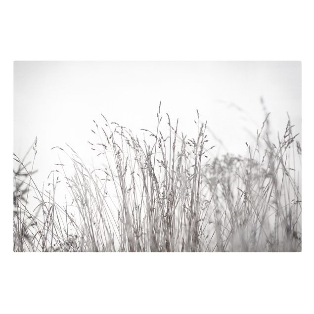 Canvas print - Winter Grasses