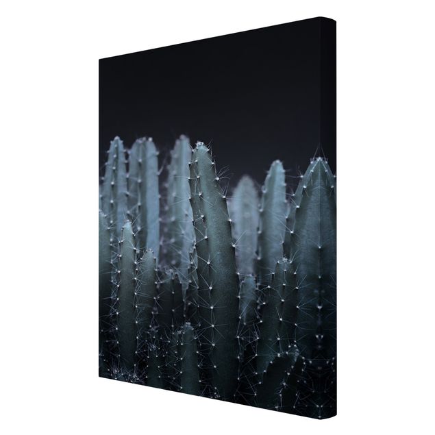 Canvas print - Desert Cactus At Night