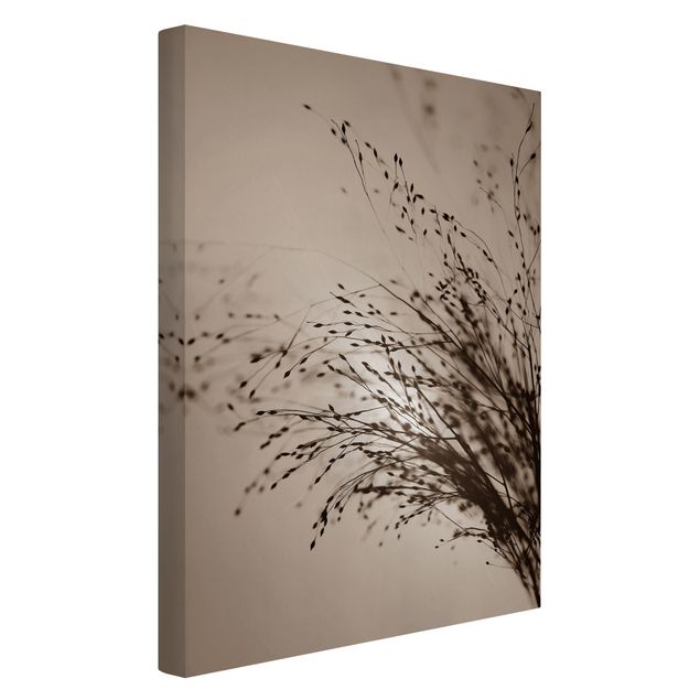 Canvas print - Soft Grasses In Morning Mist
