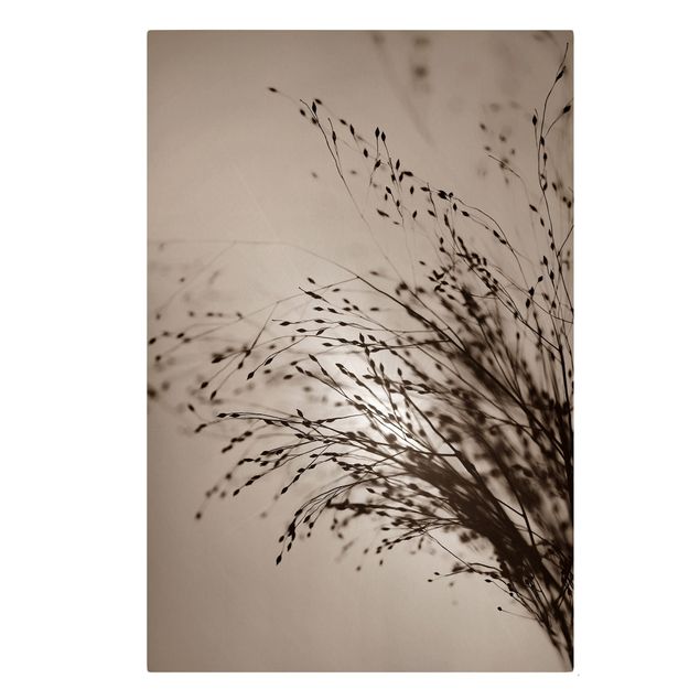 Canvas print - Soft Grasses In Morning Mist