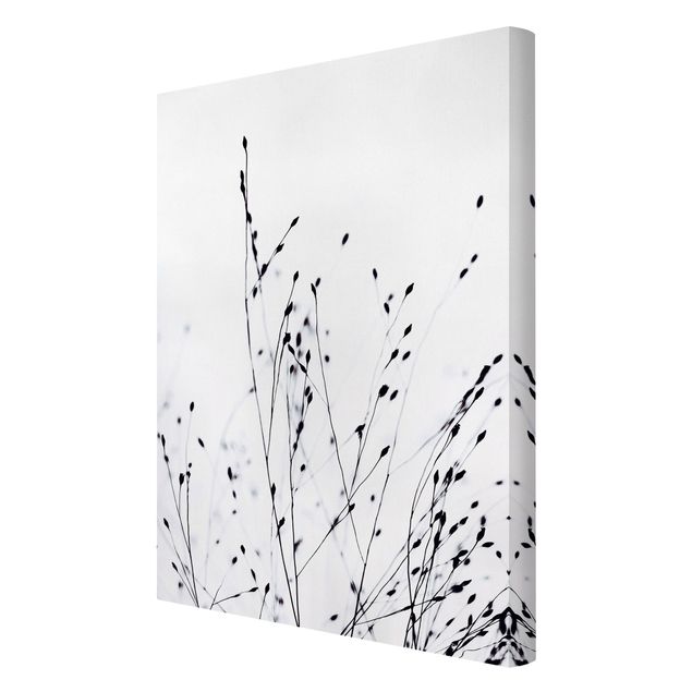 Canvas print - Soft Grasses In Nearby Shadow