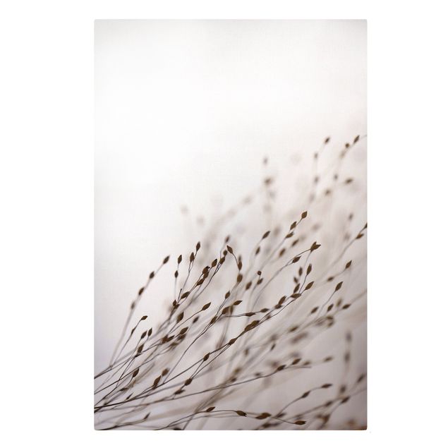 Canvas print - Soft Grasses In Slipstream