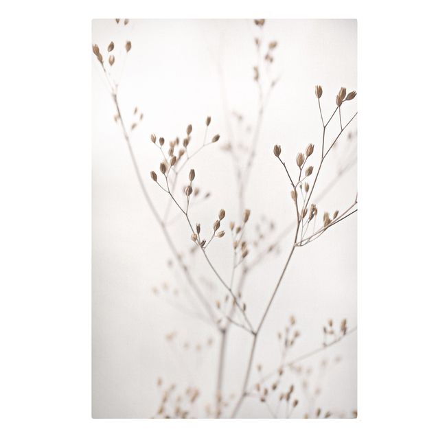 Canvas print - Delicate Buds On A Wildflower Stem