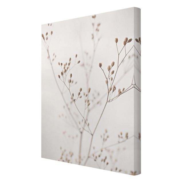 Canvas print - Delicate Buds On A Wildflower Stem