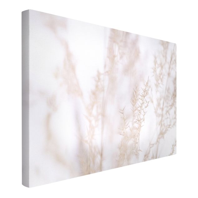 Canvas print - Delicate Meadow Grass Close up