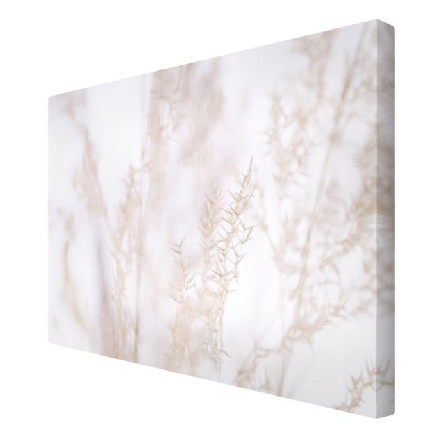 Canvas print - Delicate Meadow Grass Close up
