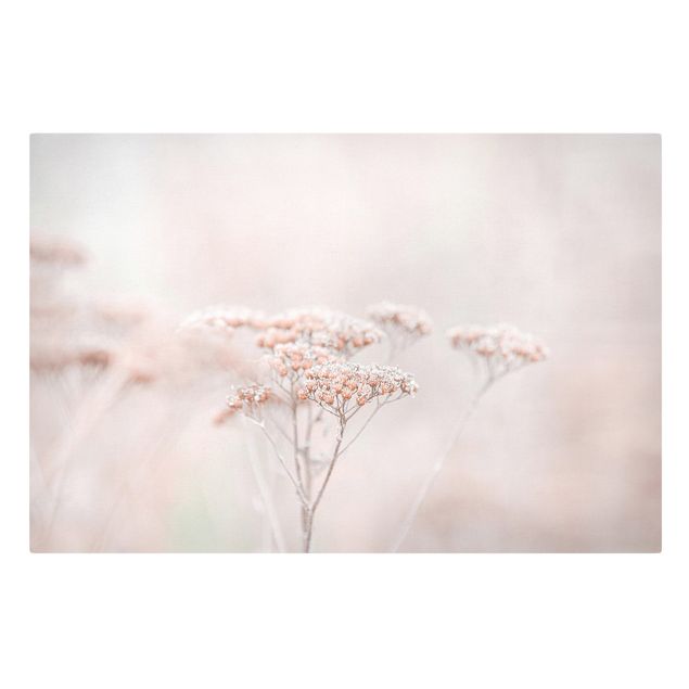 Canvas print - Pale Pink Wild Flowers