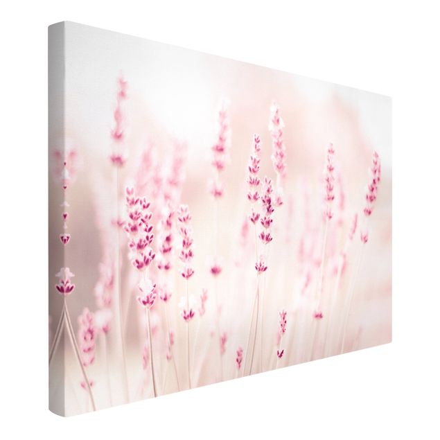 Canvas print - Pale Pink Lavender